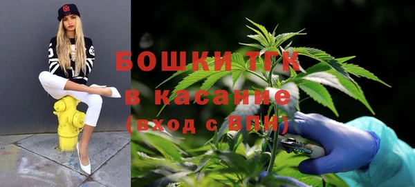 дживик Абинск