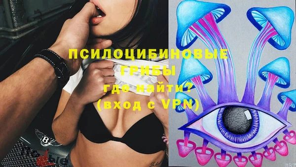дживик Абинск