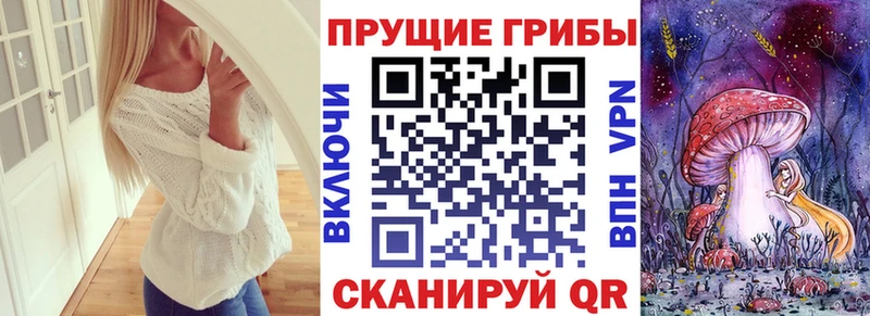 Галлюциногенные грибы Psilocybine cubensis  Красновишерск 